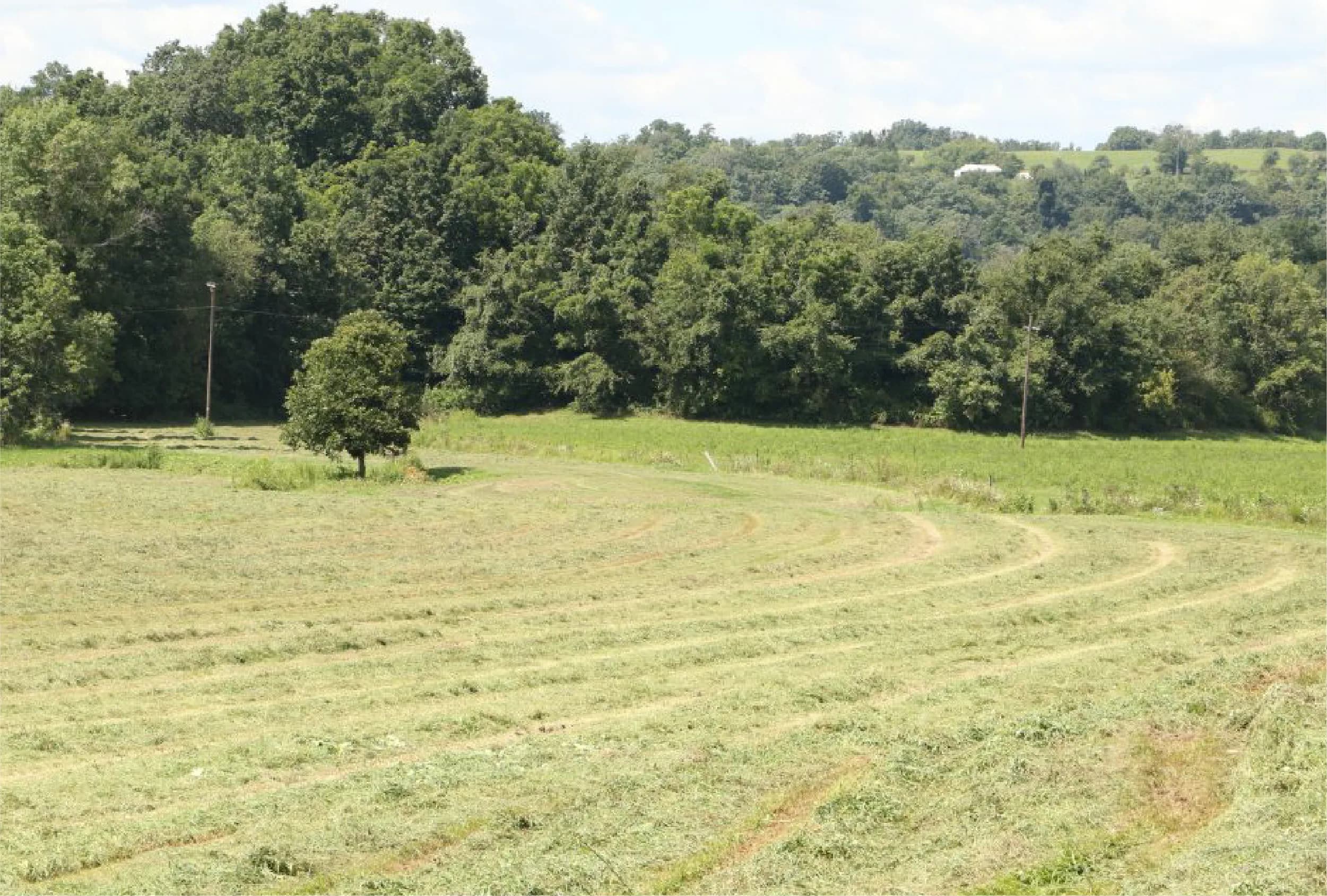 Field Mowing